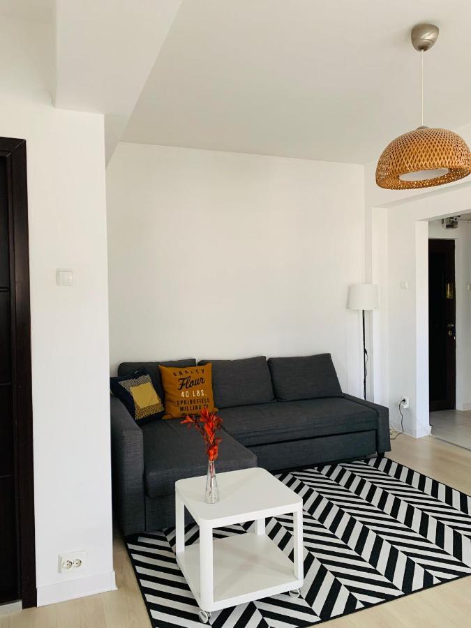 Cozy - Floreasca/​dorobanti - Appartamento Bucarest